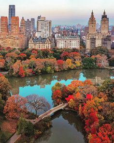 an aerial view of the central park in new york city, with autumn foliage and trees around it