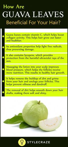 Guava leaves contain large amounts of water that can help hydrate the scalp and reduce flaking. Here are the other top benefits of guava leaves for hair. Guava Leaves For Hair, Baking Soda Dry Shampoo, Baking Soda For Dandruff, Blond Rose, Baking Soda Shampoo Recipe, Baking Soda For Hair, Longer Hair Faster, Guava Leaves, Rapid Hair Growth