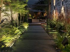 an outdoor walkway lit up at night with plants and trees on either side, leading to the front door