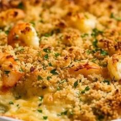 a casserole dish with shrimp, cheese and parmesan bread crumbs