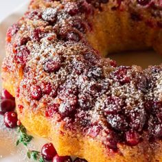 a cranberry bunt cake with powdered sugar on top and garnished with pomegranates