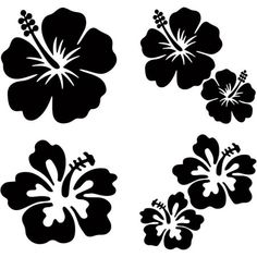 four black and white hawaiian flowers