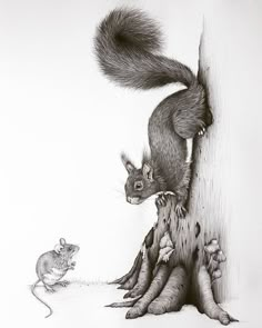 a pencil drawing of a squirrel and a rat climbing up a tree trunk with their tails in the air