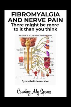 Nerve pain may be causing a lot more issues than you think. Nerves connect to every organ in the body and the same issues that are causing nerve pain in your hands and feet could be responsible for your IBS and many other issues. Tooth Nerve, Inner Knee Pain, Pinched Nerve, Sciatic Nerve Pain, Sciatic Nerve, Vicks Vaporub, Migraine Headaches, Nerve Pain