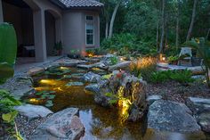 a garden with rocks, plants and lights in the middle of it is lit up at night