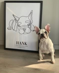 a small dog standing next to a framed drawing