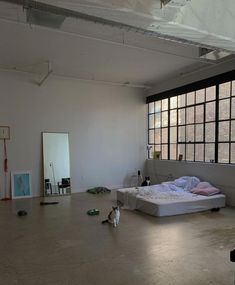 an empty room with a bed and two cats on the floor in front of large windows