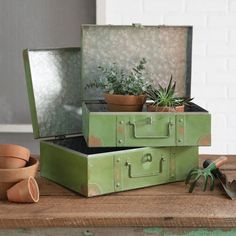 two green suitcases with plants in them sitting on a wooden table next to pots