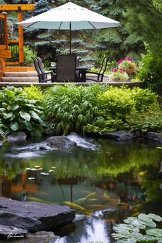 an umbrella is over a small pond in the middle of a garden with water lilies and koi fish