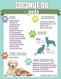 a poster showing the benefits of coconut oil for dogs and cats in their diets