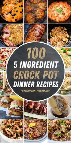 the top 5 ingredient crock pot dinner recipes