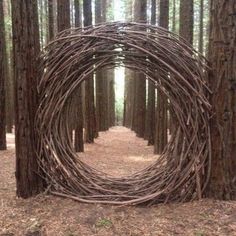 an image of a tunnel in the woods