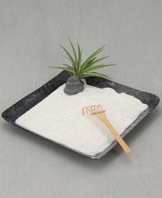 an air plant sitting on top of a black tray with white towels and bamboo utensils