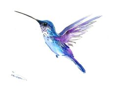 a watercolor painting of a hummingbird in flight