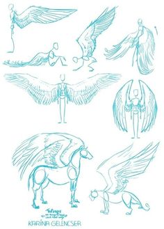 some drawings of different types of animals and birds in blue ink on white paper with the title