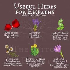 the useful herbs for empaths are shown in this graphic above it's description