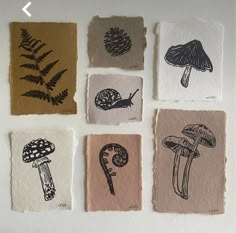 four different types of mushrooms are shown on the wall in this photo, and each one is drawn with colored pencils