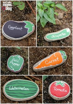 several pictures of different types of rocks with words painted on them and carrots in the middle