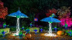 some lights that are in the grass near pumpkins and trees with decorations on them