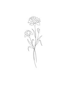 a line drawing of three flowers on a white background, with one single flower in the foreground