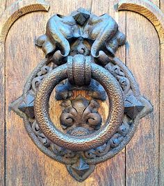 an ornate door knockle with two elephants on it's side and a circular design in the middle