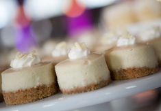 small cheesecakes are arranged on a white plate