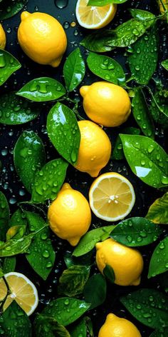 lemons and leaves with water droplets on them