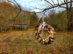 a wreath hanging on a tree branch in the middle of a field with an old shed in the background