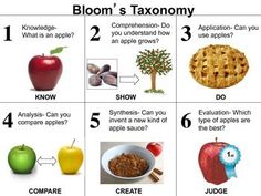 an image of bloom's anatomy chart with apples and other things to eat in it