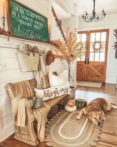 a dog laying on top of a rug in front of a wooden bench with fall decorations