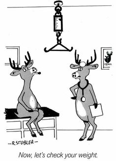 two deers are sitting on a bench and one is looking at the weight scale