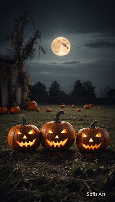 three carved pumpkins sitting in the grass at night