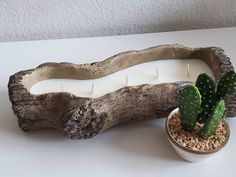 a small cactus in a white pot next to a wooden piece of driftwood that has been turned into a candle holder