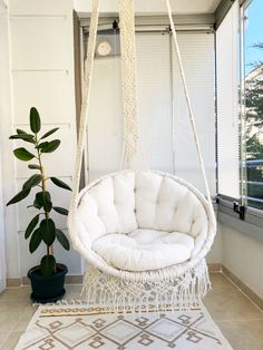 a white hanging chair next to a potted plant on a rug in front of a window