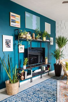 a living room with blue walls and plants on the shelves in front of the tv