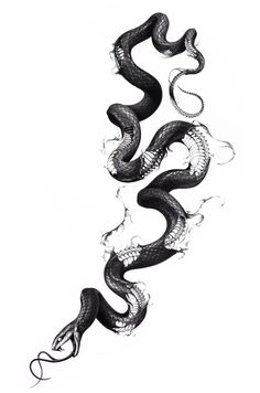 a black and white drawing of two snakes with their tails curled in the same direction