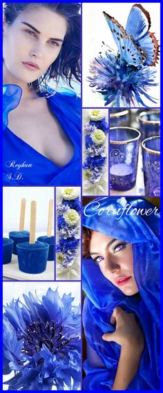 a collage of photos with blue flowers, candles and butterflies on it's face