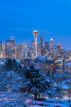 the seattle skyline is lit up at night with snow covered trees and buildings in the background