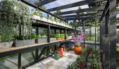 an outdoor garden area with potted plants and flowers on the shelves, surrounded by greenery