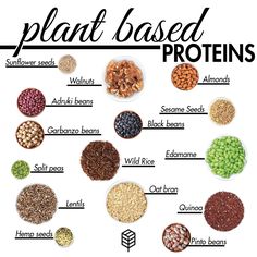 the plant based proteins are shown in different bowls and labeled with their names on them