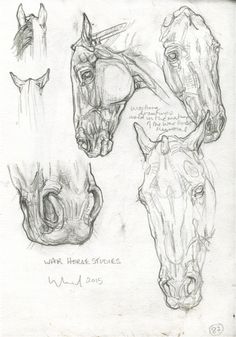 some drawings of horses that are standing next to each other