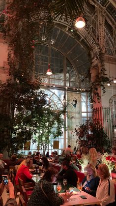 people sitting at tables in a restaurant with plants hanging from the ceiling and windows above them