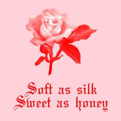 a pink rose with the words soft as silk sweet as honey