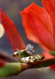 two wedding rings sitting on top of a red flower