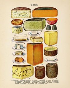 an image of different types of cheeses