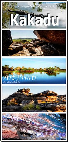 the cover of kakadu magazine with four different images and text overlays