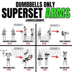 dumbbells only superset arms and muscle length chart with instructions for each arm