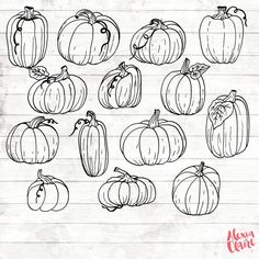 a bunch of pumpkins drawn on top of a piece of paper