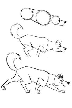 three drawings of dogs with different shapes and sizes