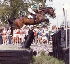 a person jumping a horse over an obstacle in front of a large group of people